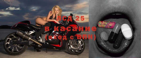 индика Алагир