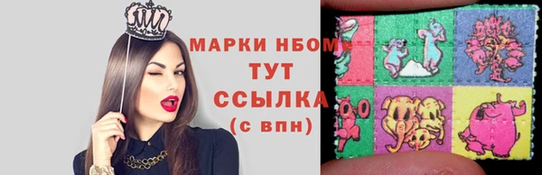индика Алагир