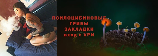индика Алагир