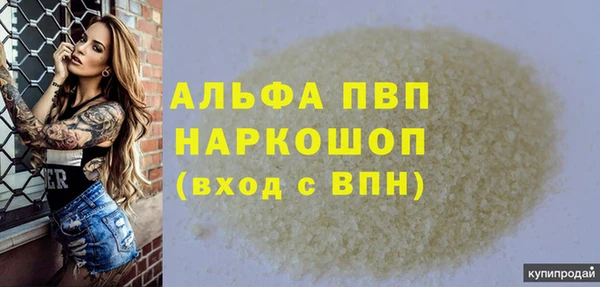 индика Алагир