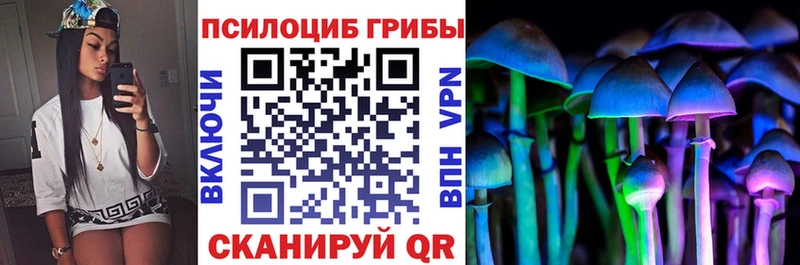 дарнет шоп  Белокуриха  Галлюциногенные грибы MAGIC MUSHROOMS 